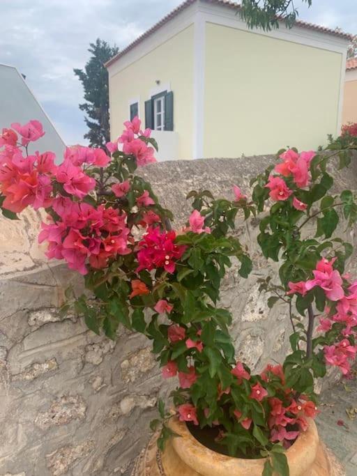Villa 1853, Spetses Ground Floor Εξωτερικό φωτογραφία