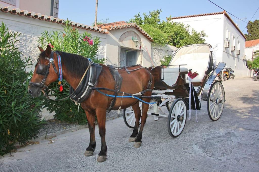 Villa 1853, Spetses Ground Floor Εξωτερικό φωτογραφία